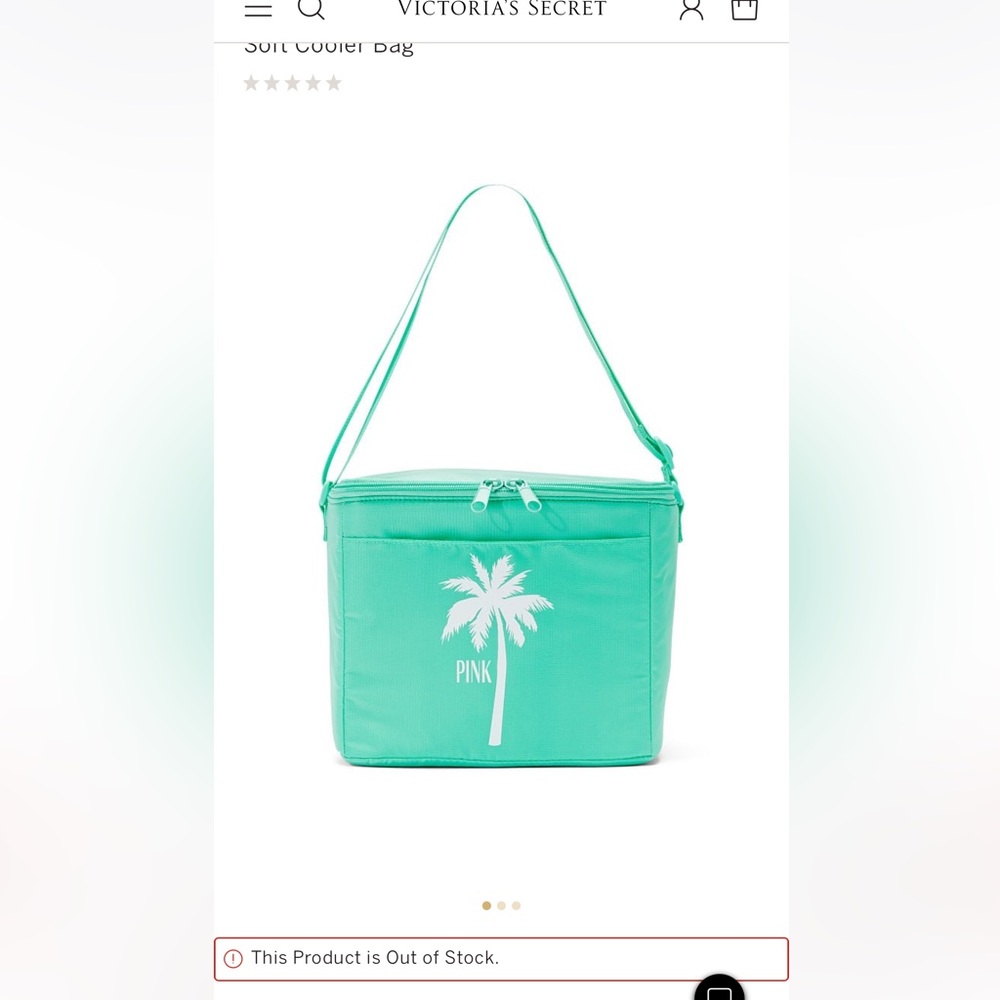 Victoria’s Secret Pink soft sided cooler/lunchbox